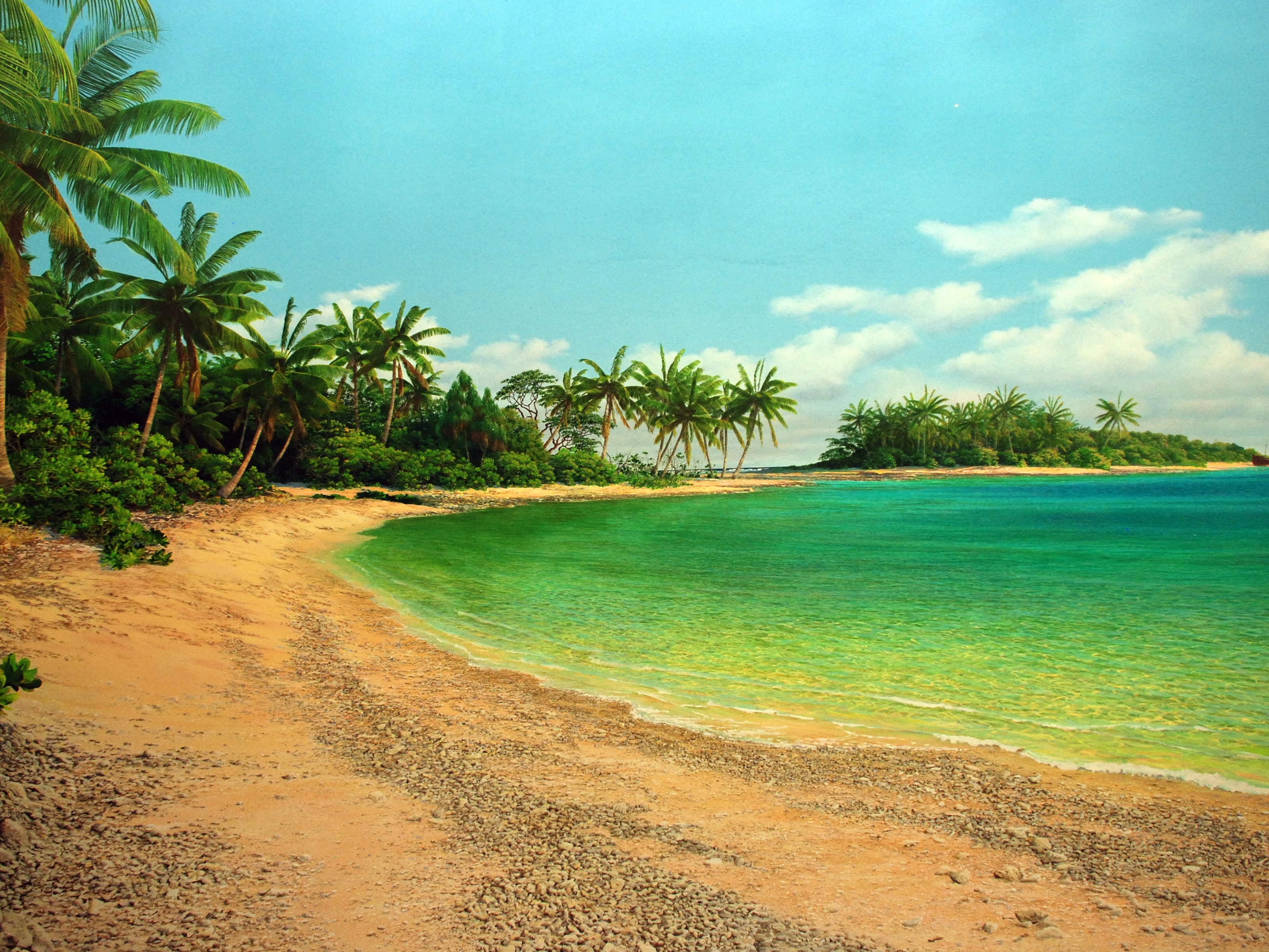 Island Sea Palms Shore Beach