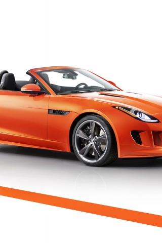 Jaguar F Type Black Pack Edition 2013