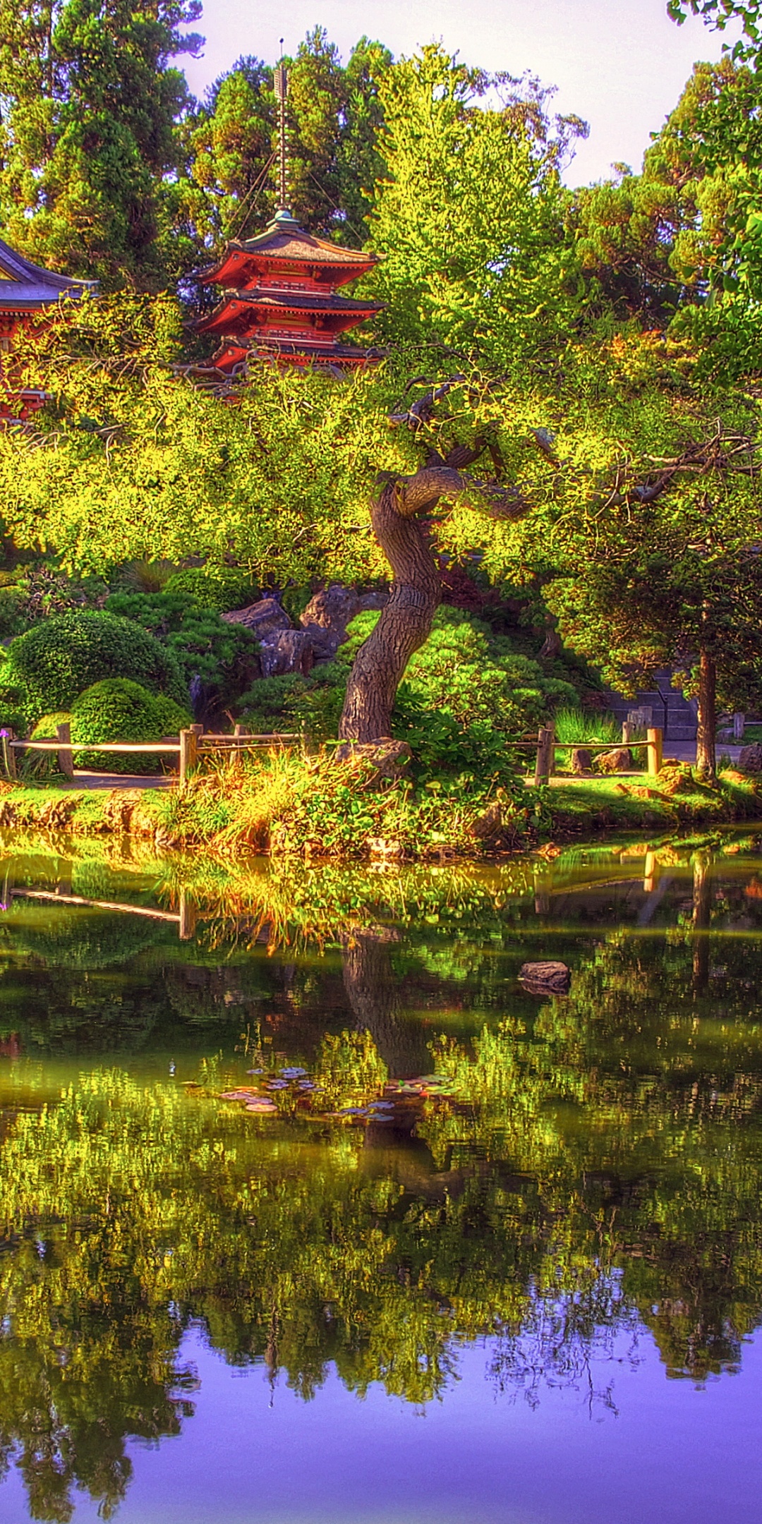 Japanese Tea Garden In San Francisco