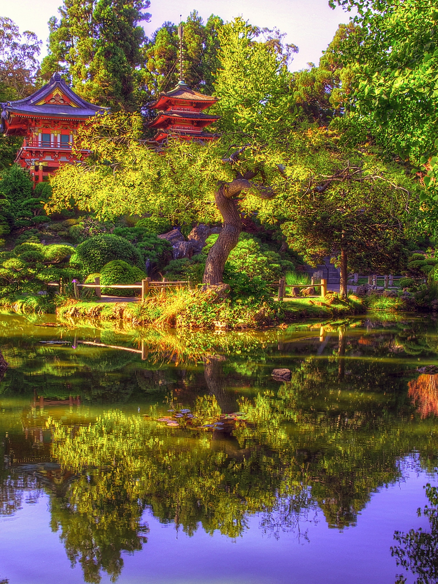 Japanese Tea Garden In San Francisco