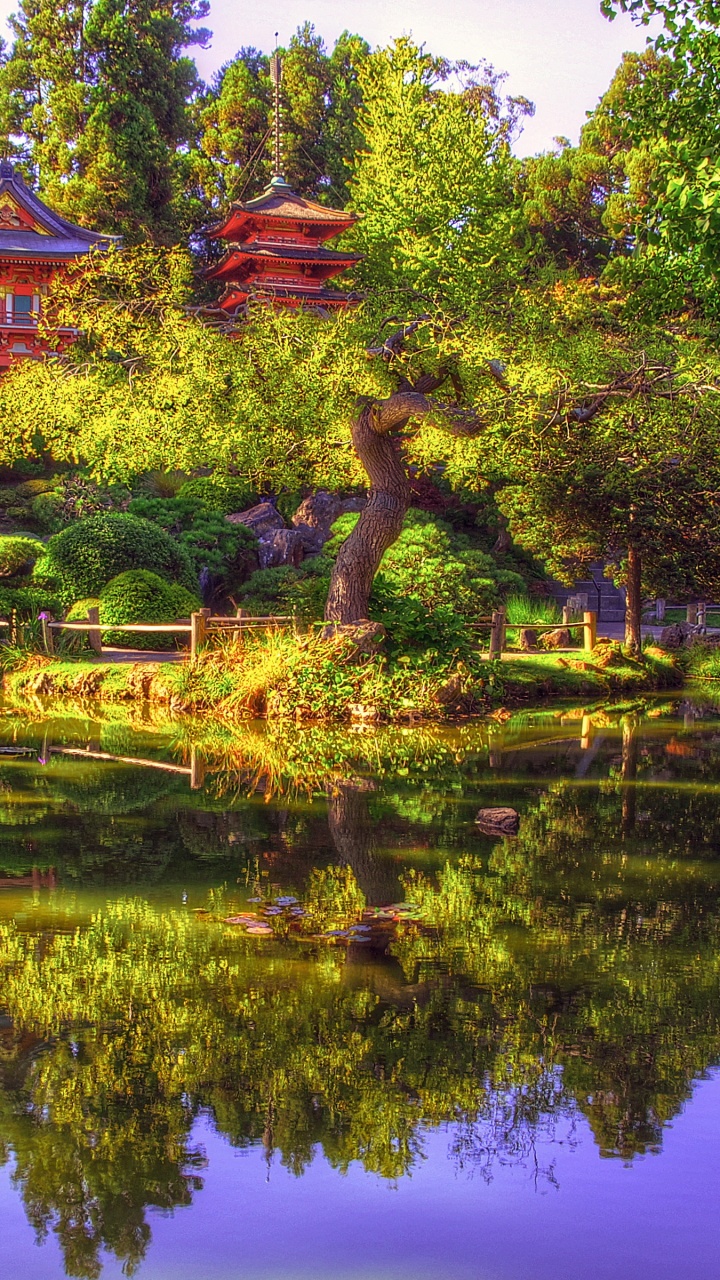 Japanese Tea Garden In San Francisco