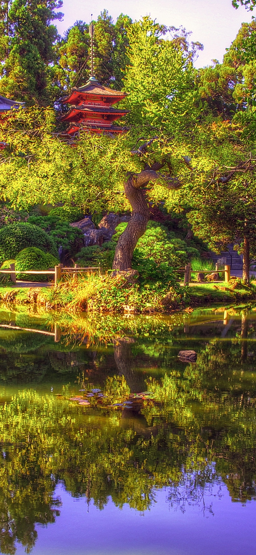 Japanese Tea Garden In San Francisco