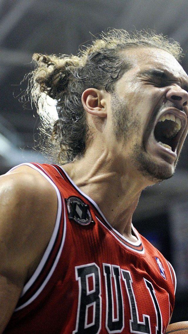 Joakim Noah1