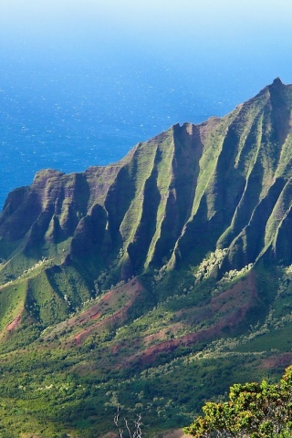 Kalalau Valley Nature