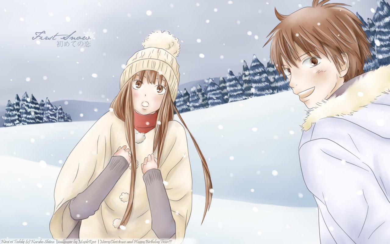 Kimi Ni Todoke Winter Snow Sawaki Kazehaya