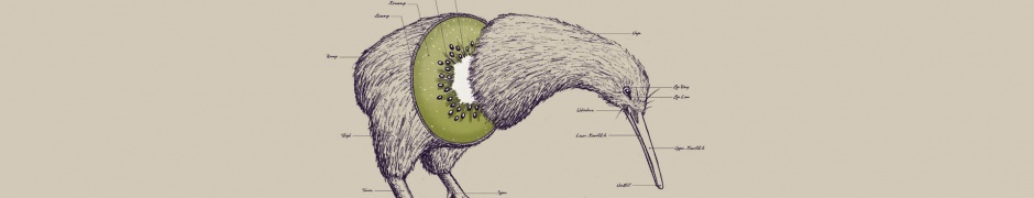 Kiwi Bird