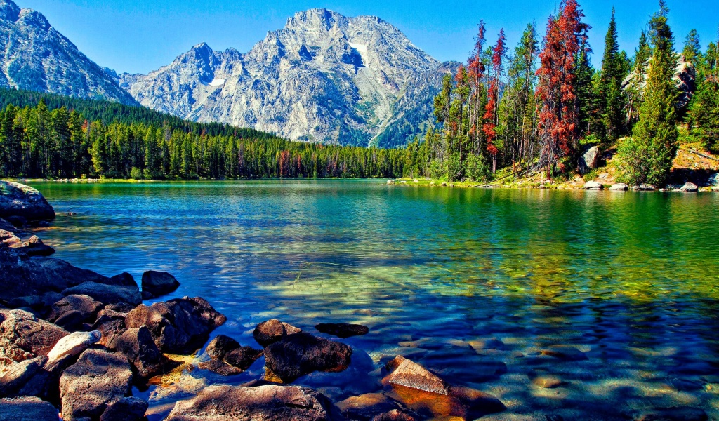 Lake And Mountains