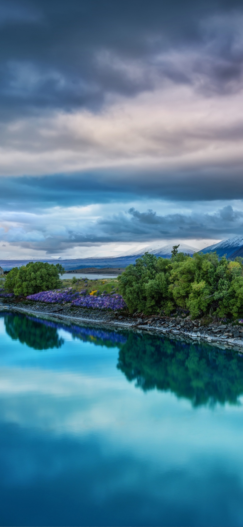 Lake Tekapo - New Zealand