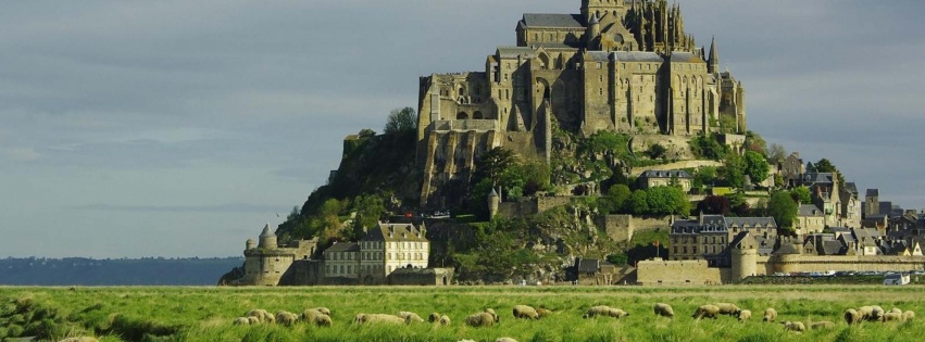 Lambs Mont Saint Michel Lower Normandy France