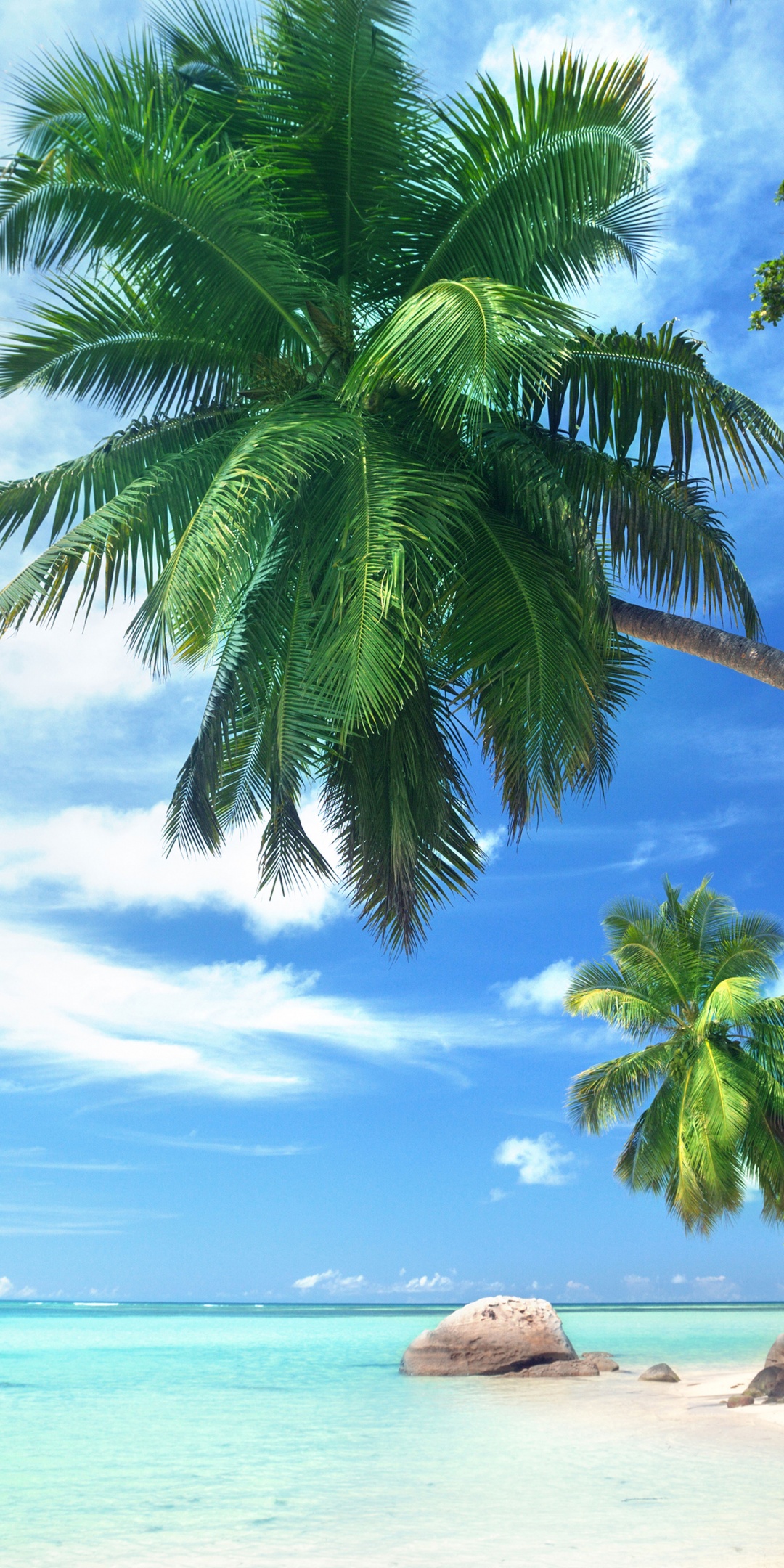 Landscape Tropical Beach And Ocean