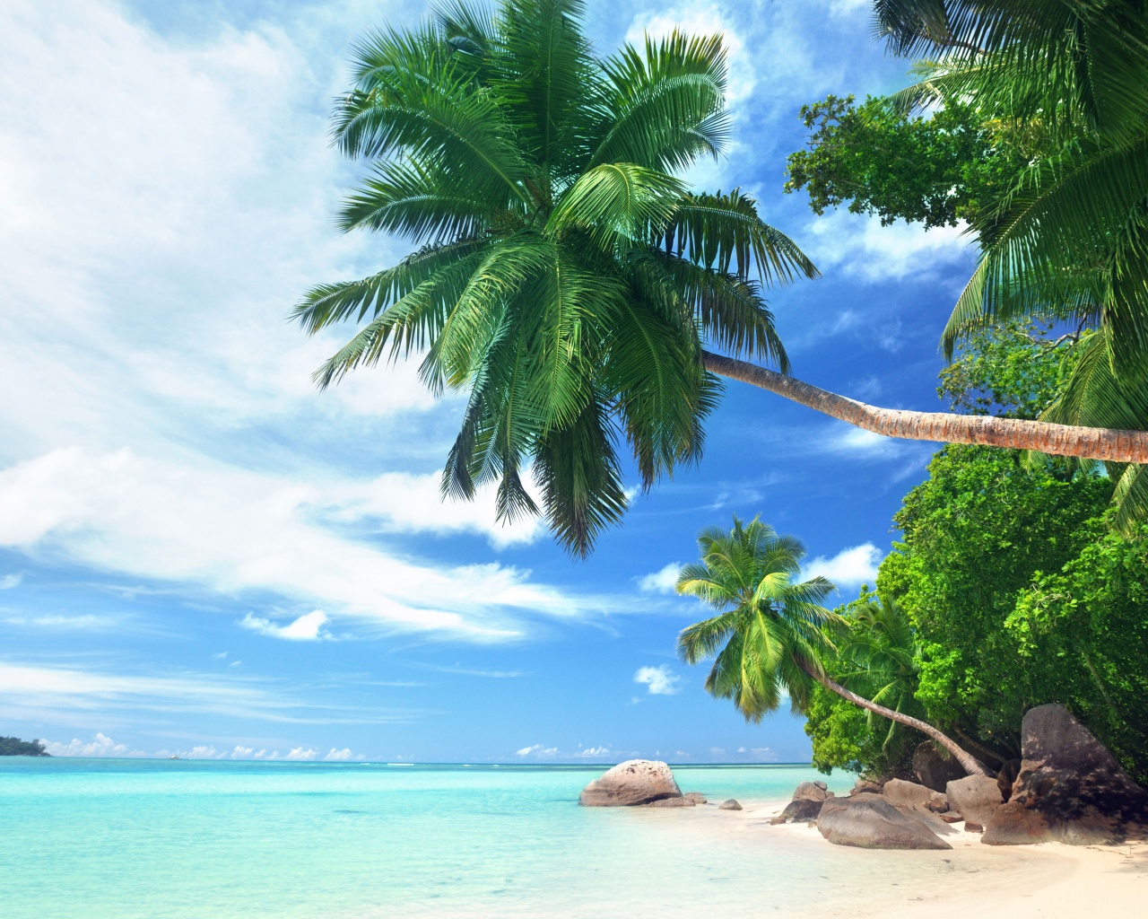 Landscape Tropical Beach And Ocean