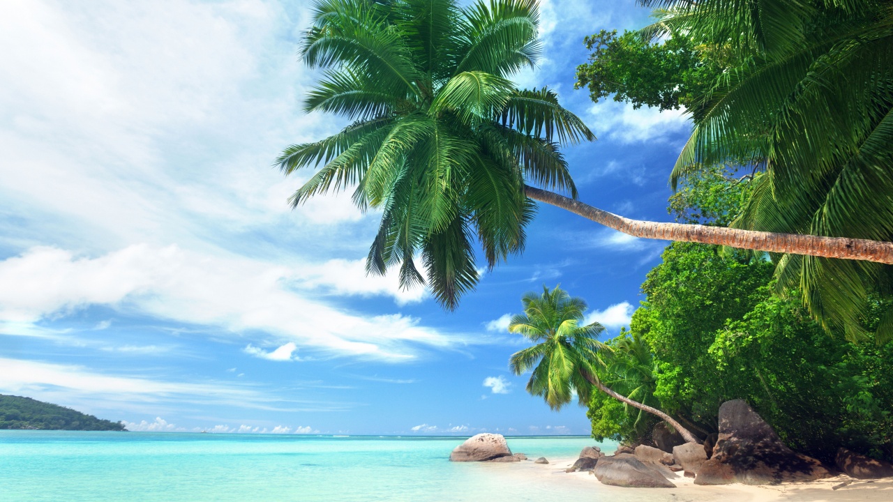 Landscape Tropical Beach And Ocean