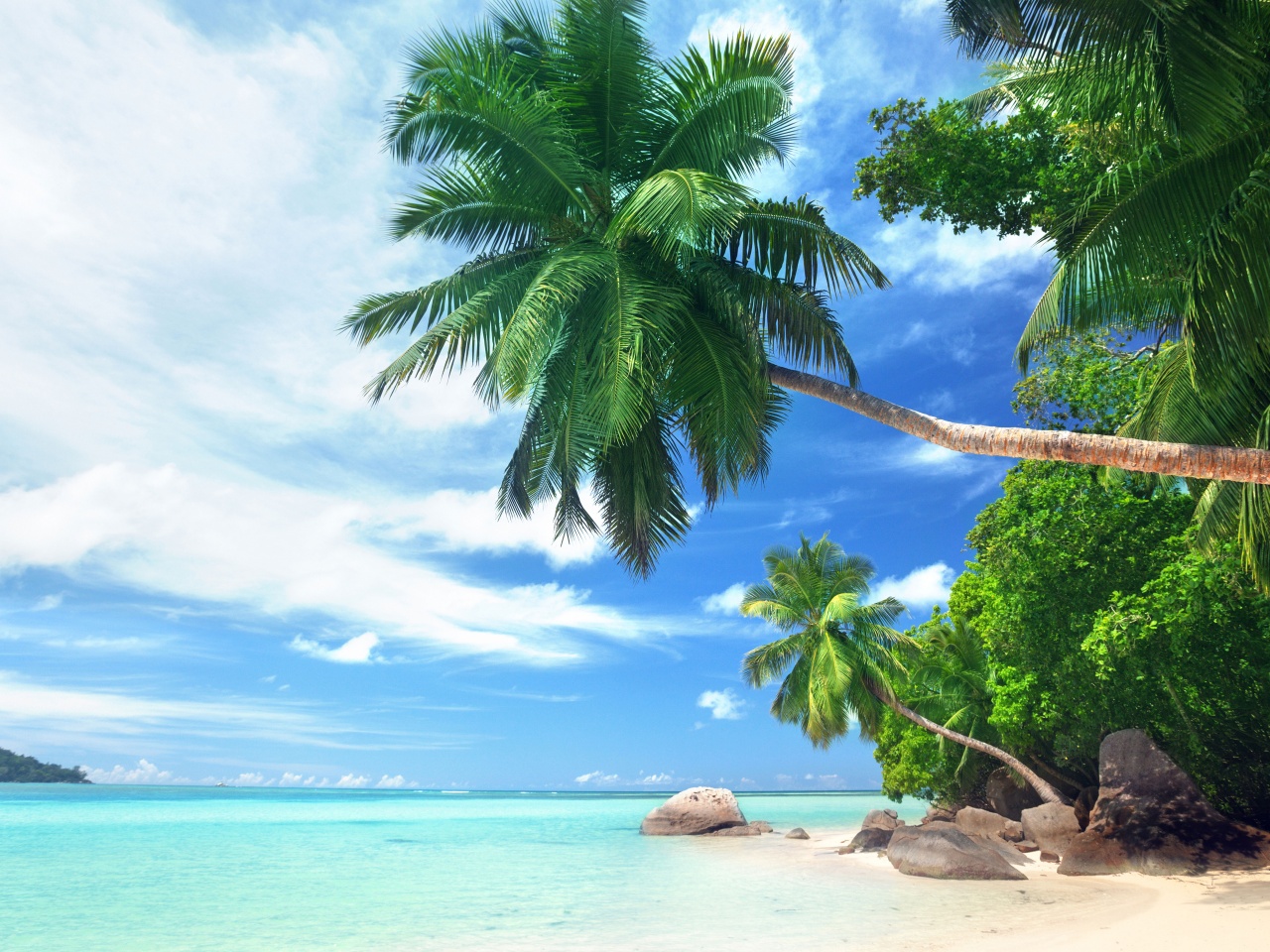 Landscape Tropical Beach And Ocean