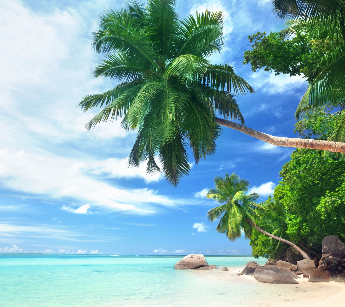 Landscape Tropical Beach And Ocean