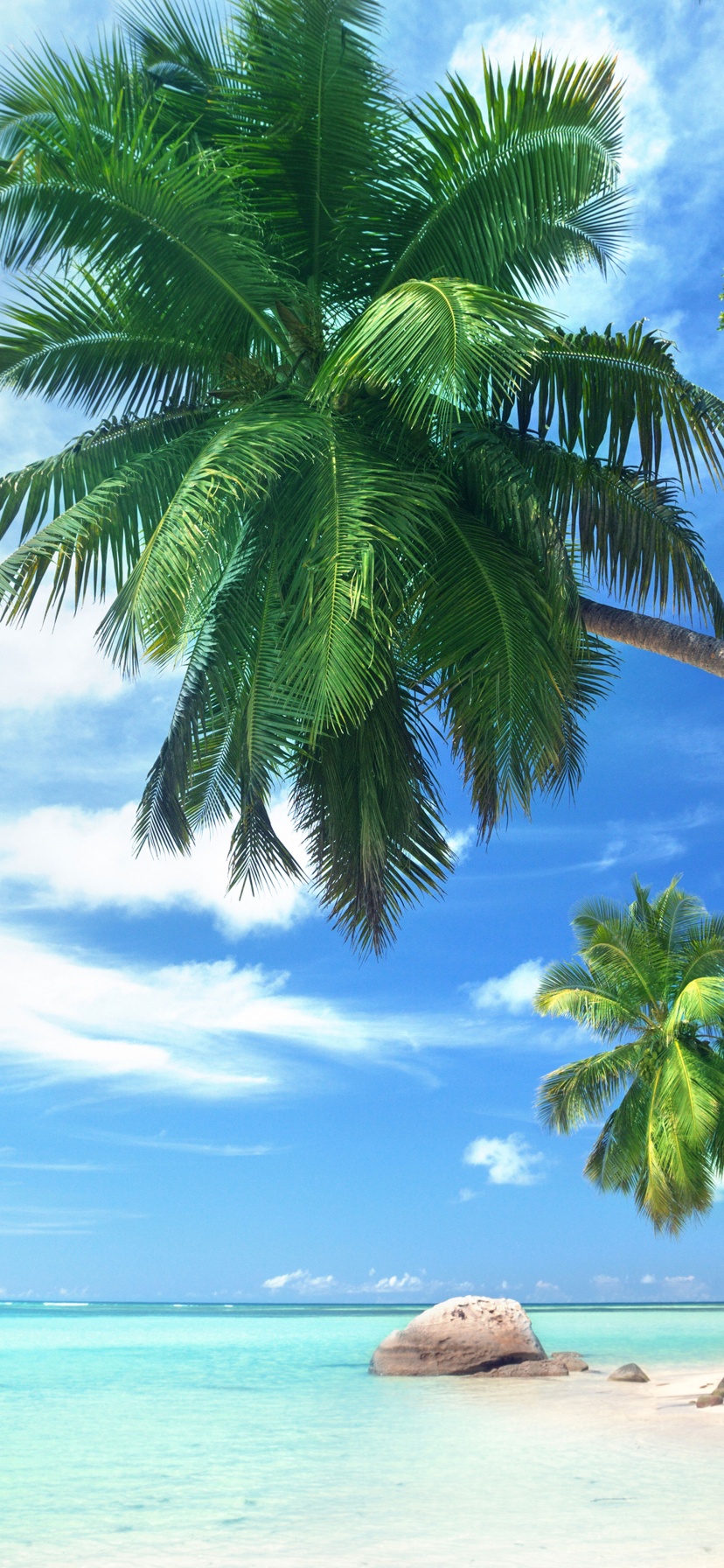 Landscape Tropical Beach And Ocean