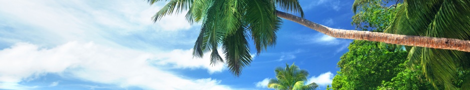 Landscape Tropical Beach And Ocean