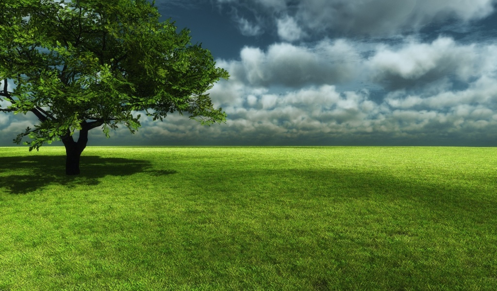 Landscapes Scenery Grassland Green Nature