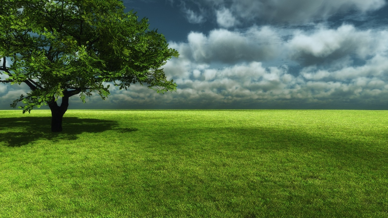 Landscapes Scenery Grassland Green Nature