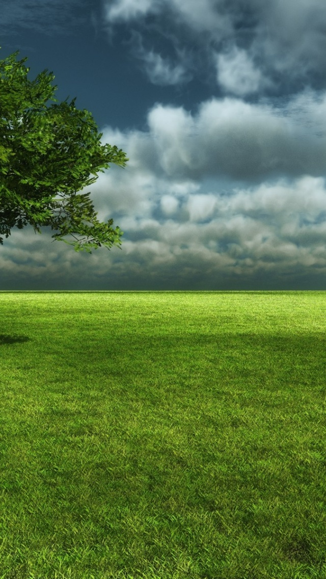 Landscapes Scenery Grassland Green Nature