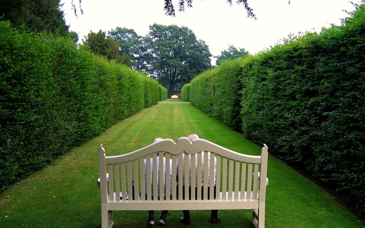 Lawn Stool Old People