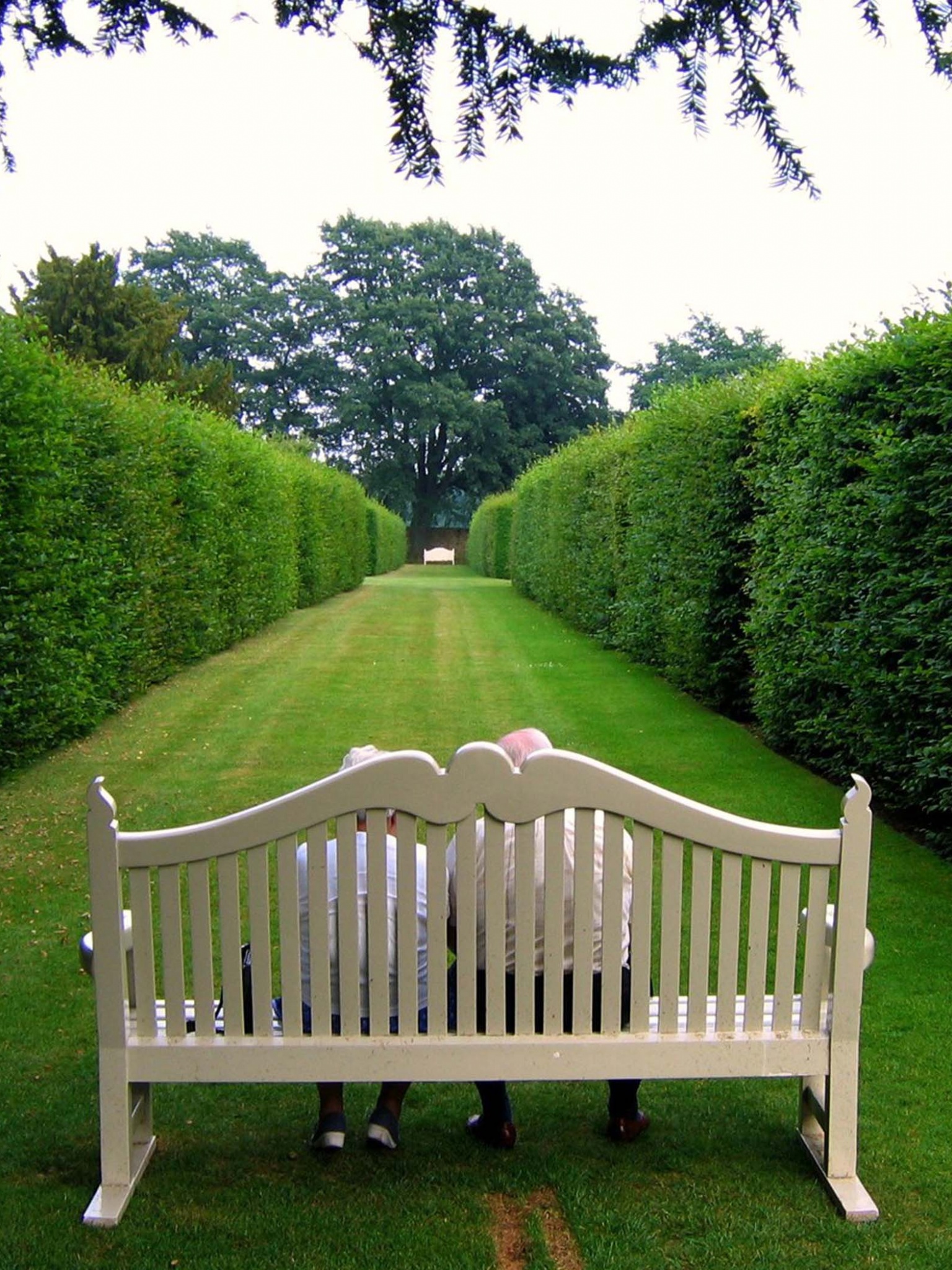 Lawn Stool Old People