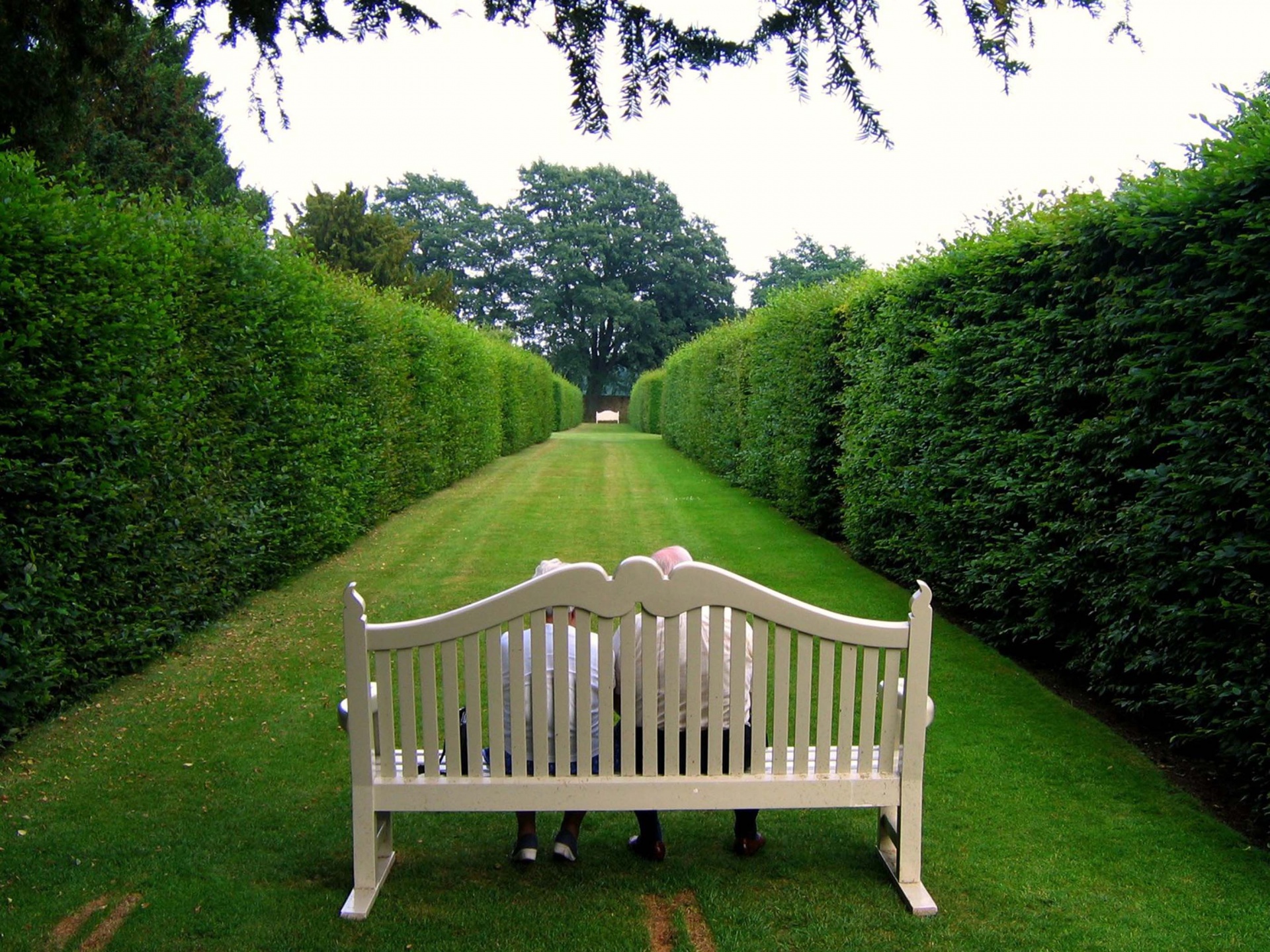 Lawn Stool Old People