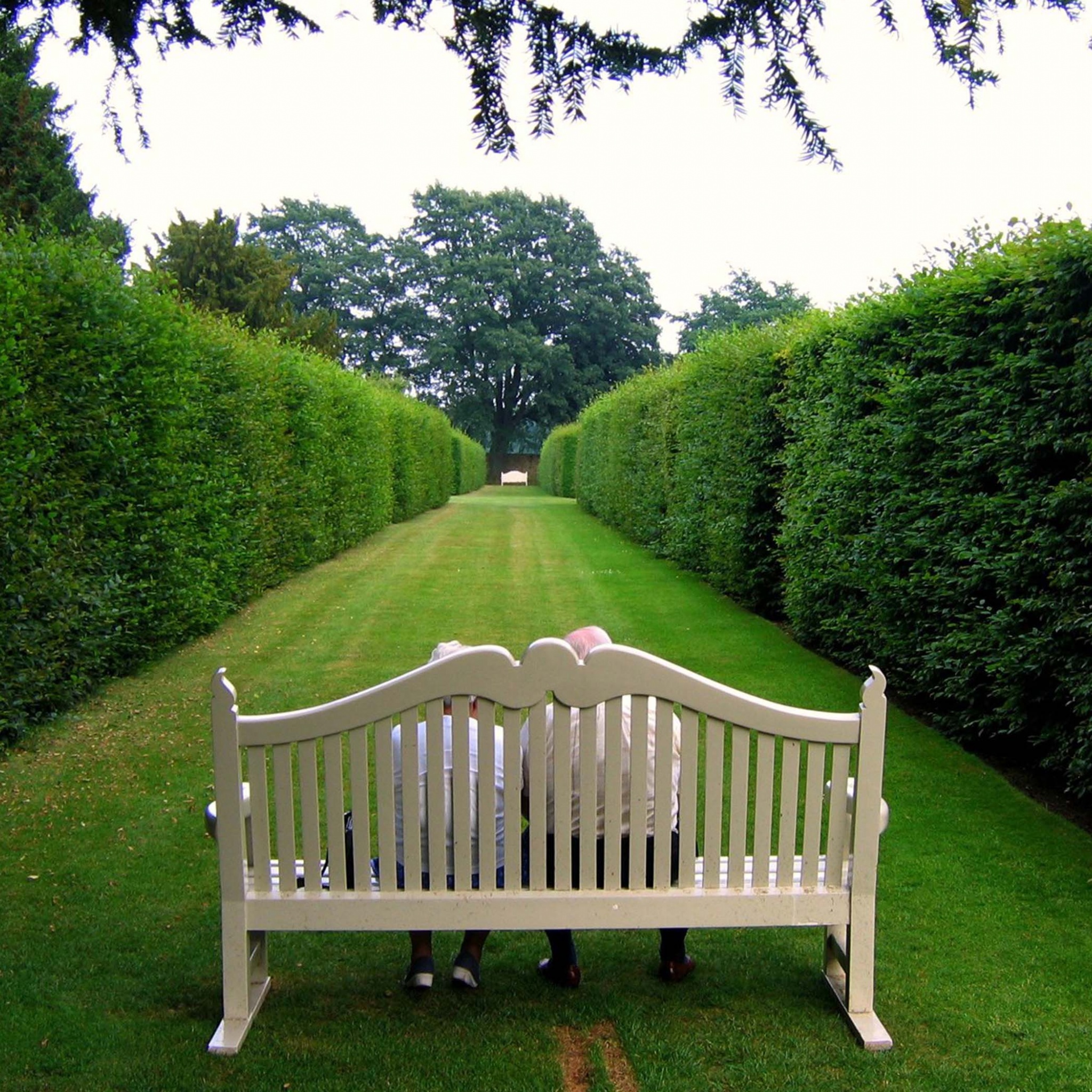 Lawn Stool Old People