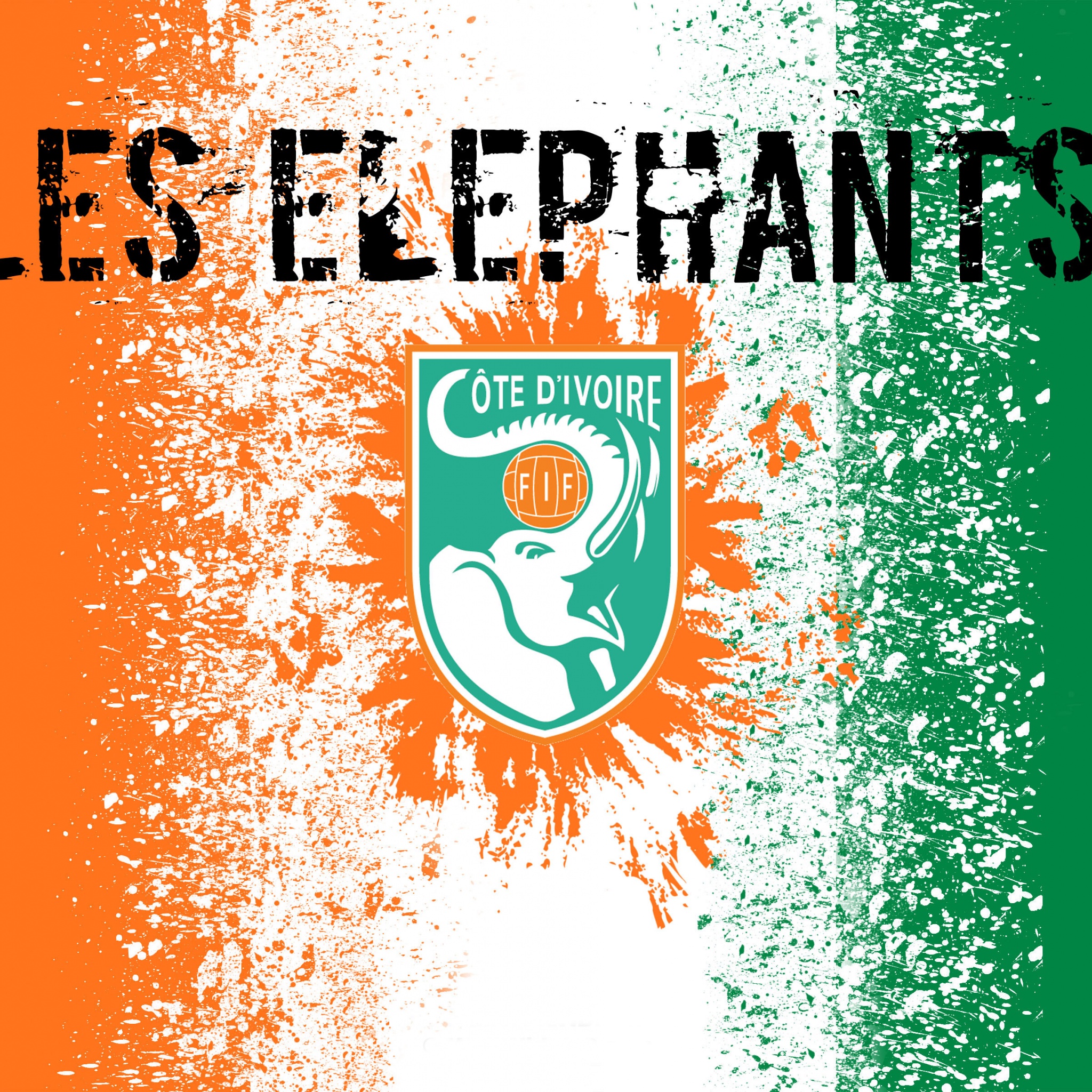 Les Elephants Ivory Coast Football Crest