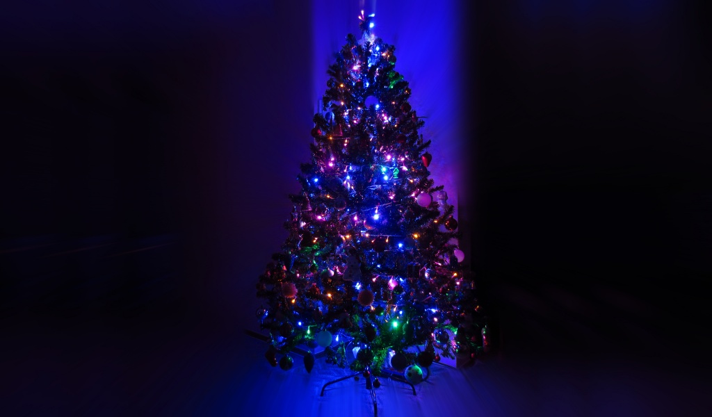 Lighting Christmas Tree