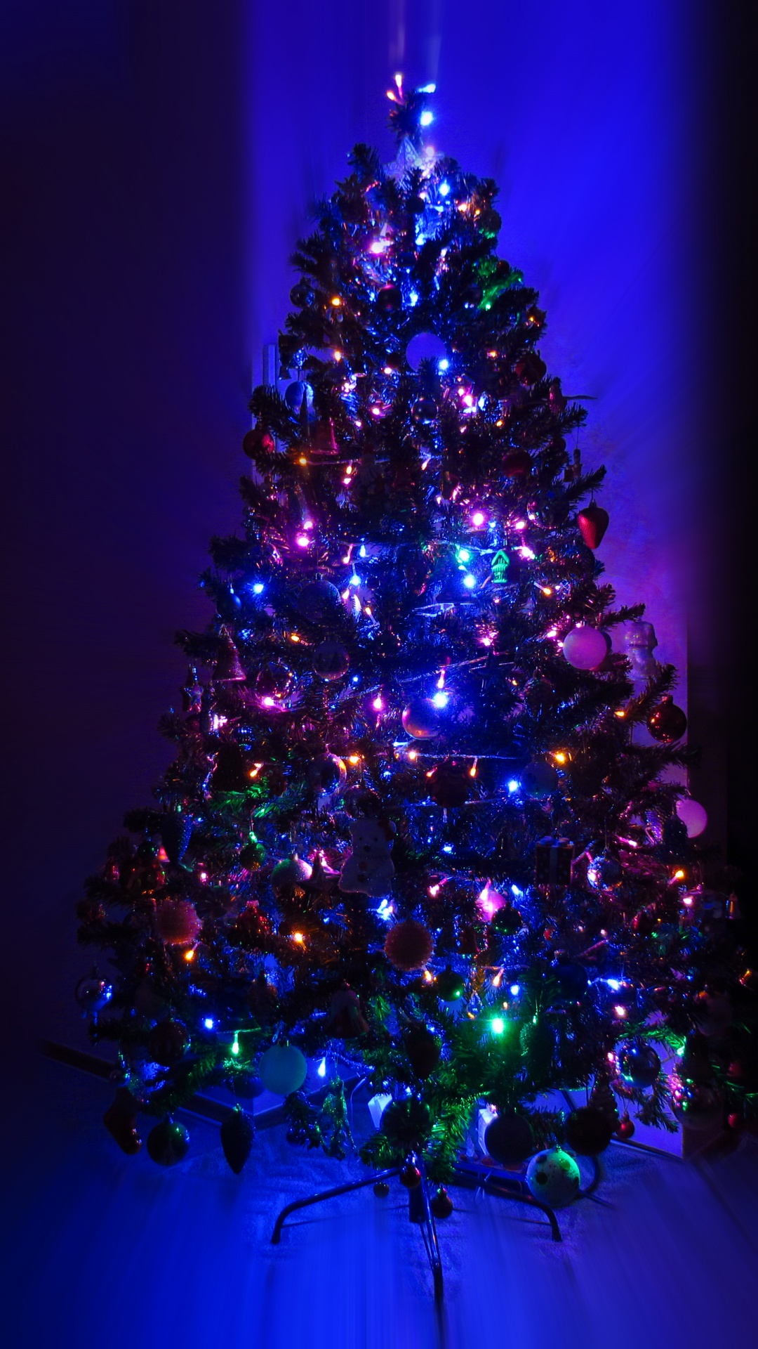 Lighting Christmas Tree