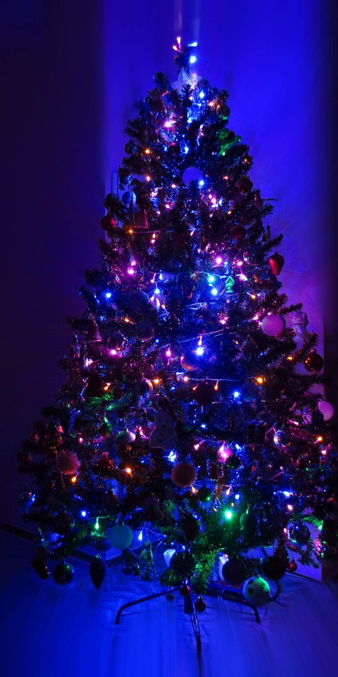 Lighting Christmas Tree