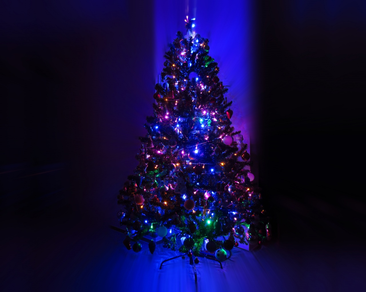 Lighting Christmas Tree