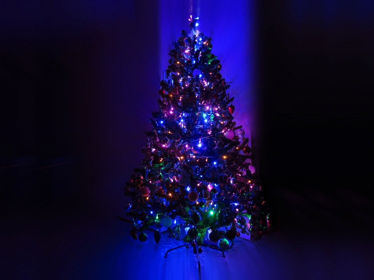 Lighting Christmas Tree