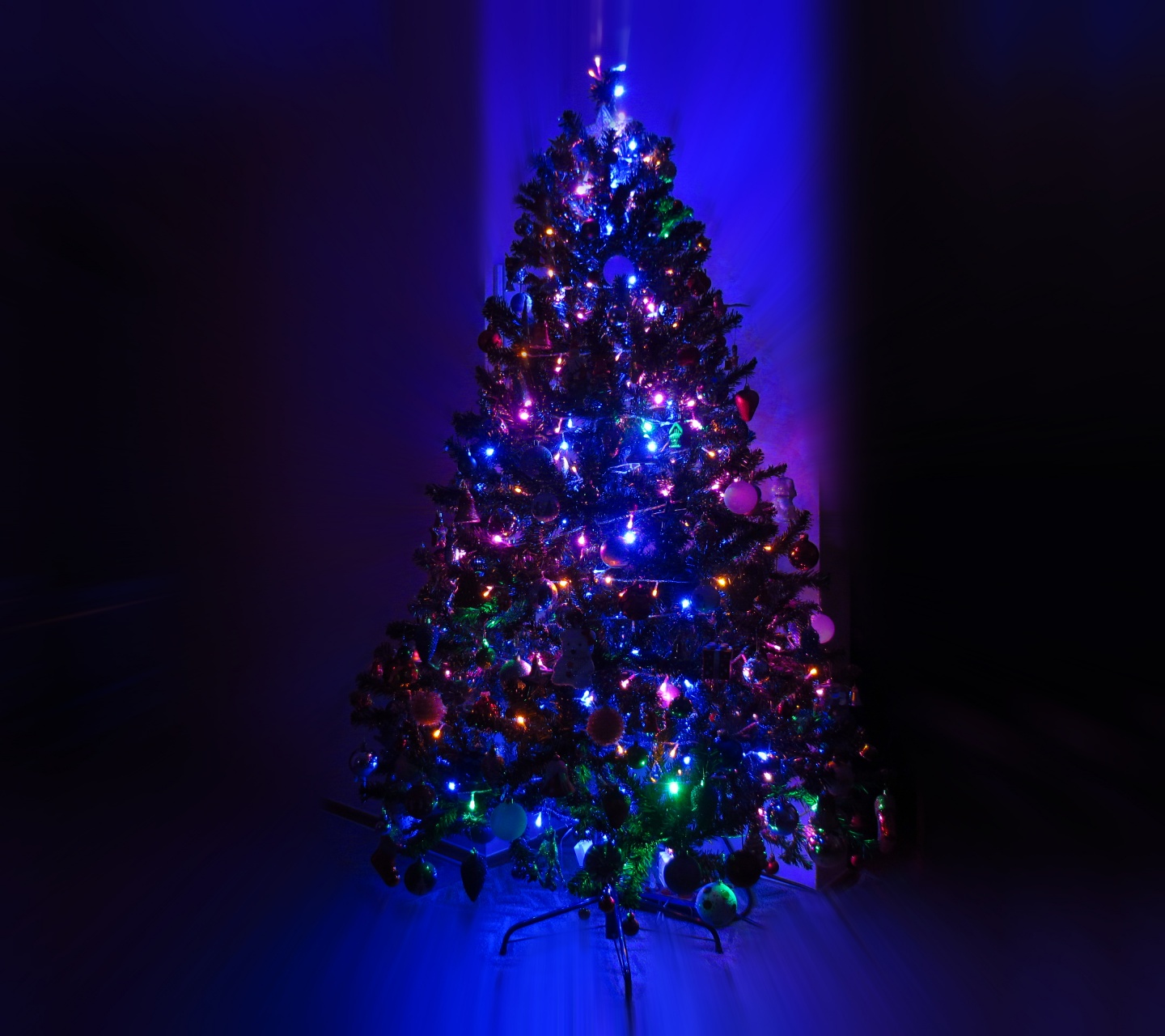 Lighting Christmas Tree