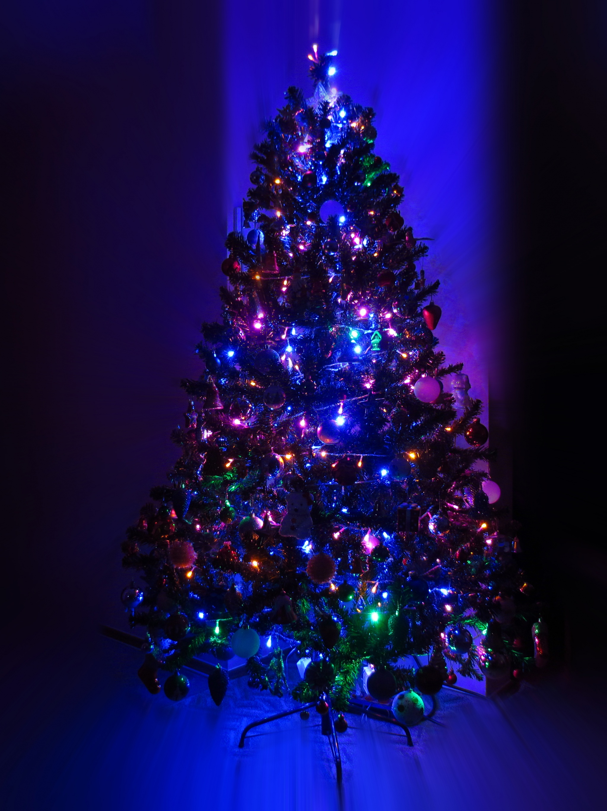 Lighting Christmas Tree