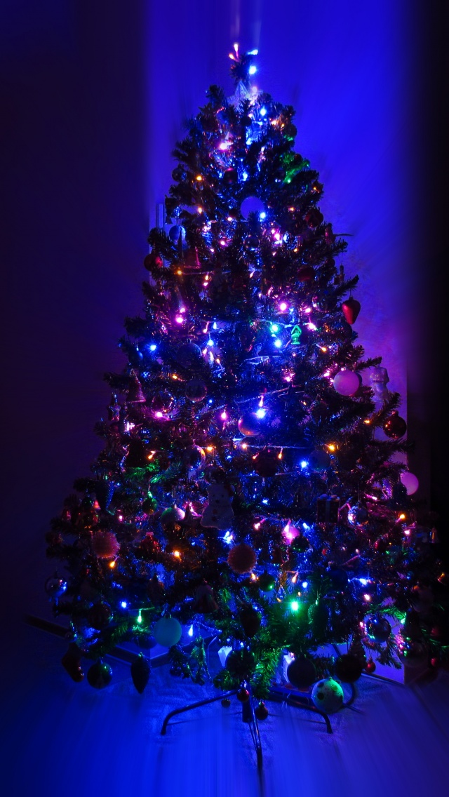 Lighting Christmas Tree