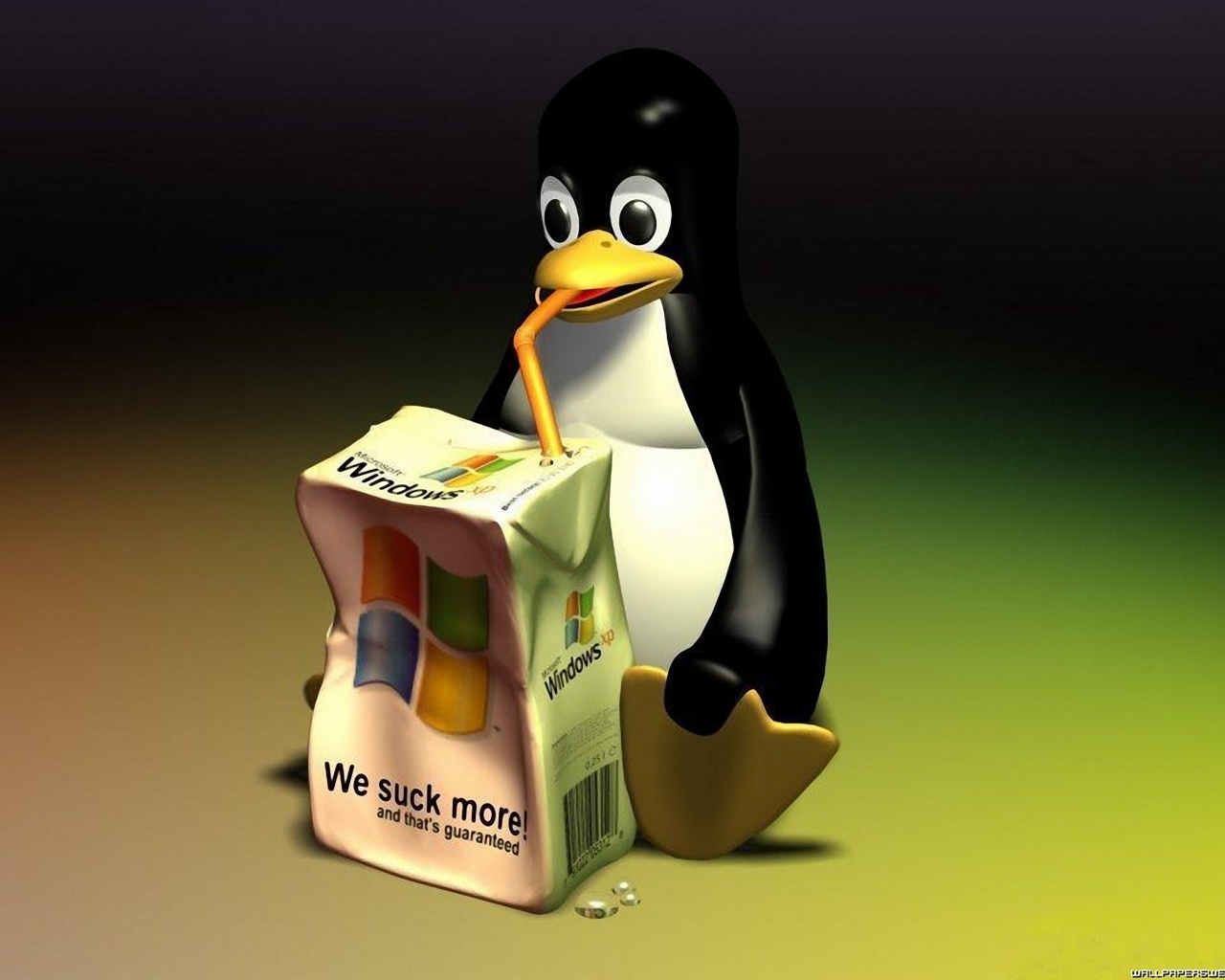 Linux We Suck More Windows Xp Computer