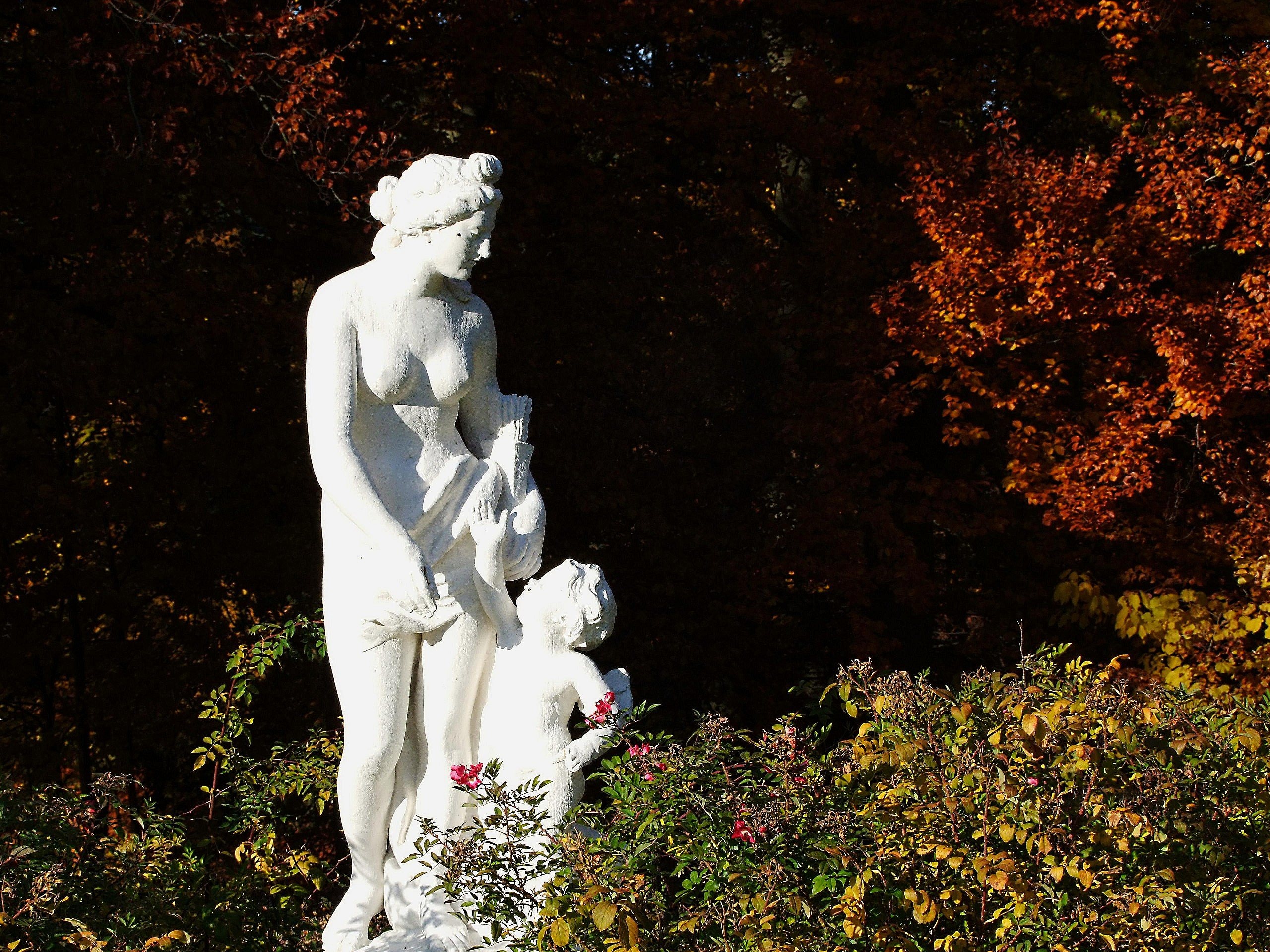 Lion Castle Sculpture Kassel Hessen Germany