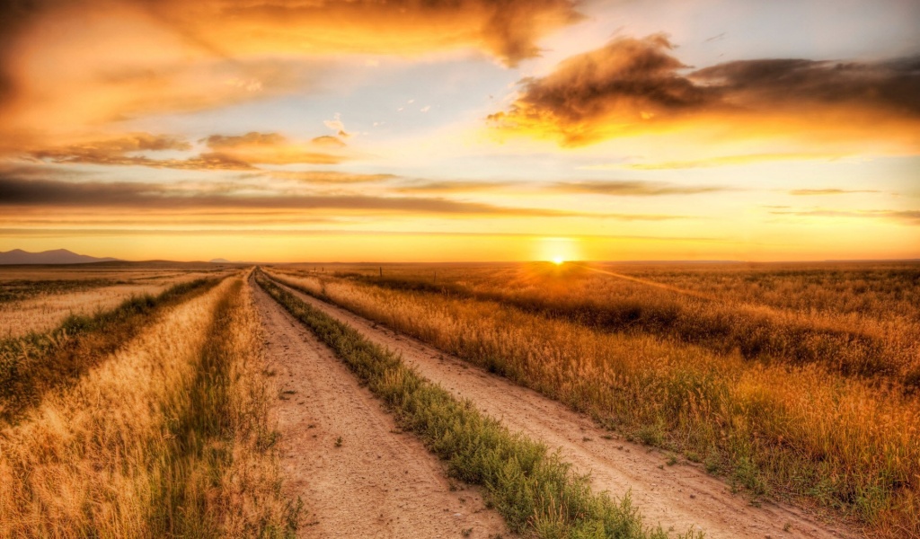 Lonely Road Nature