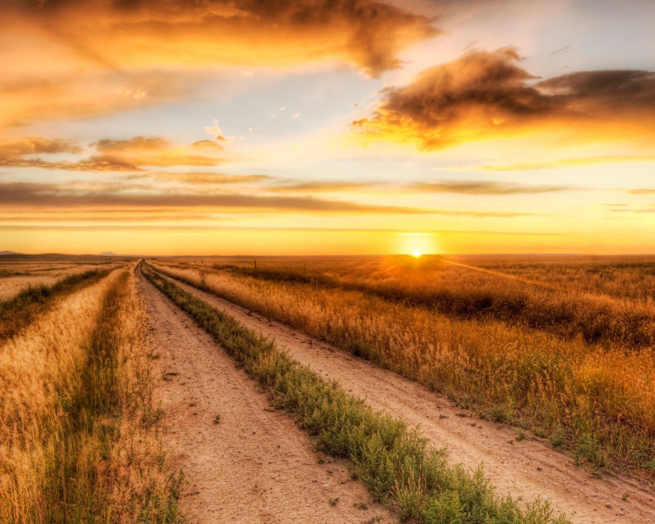 Lonely Road Nature