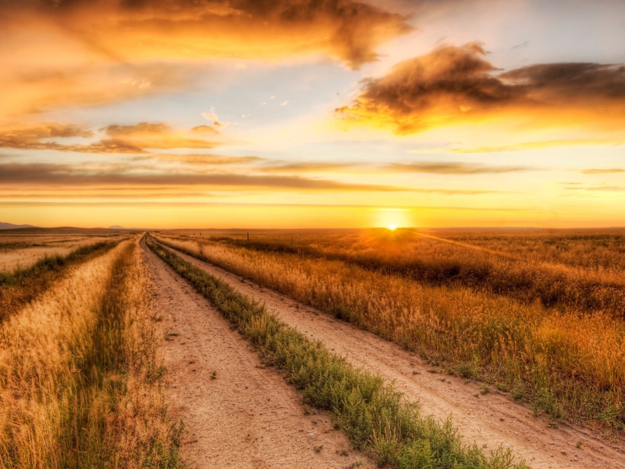 Lonely Road Nature