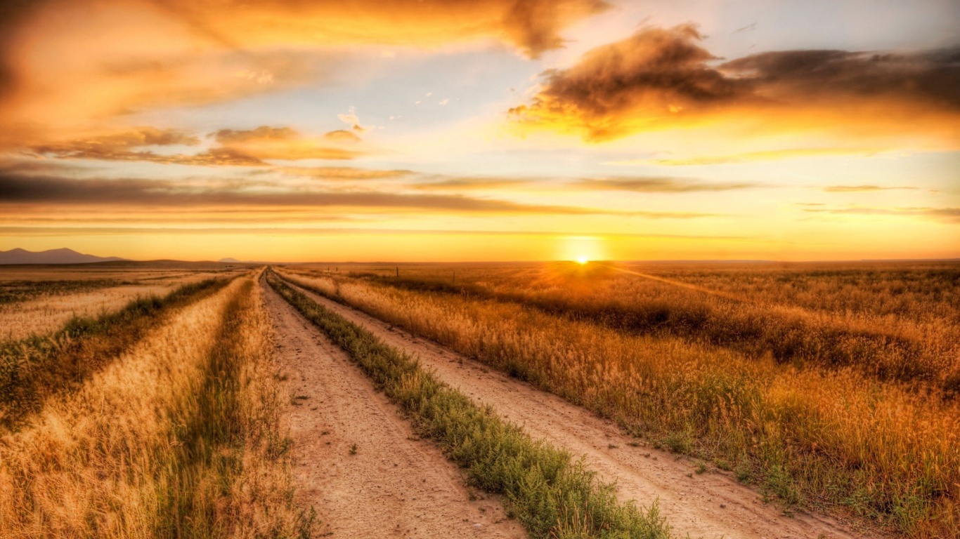 Lonely Road Nature