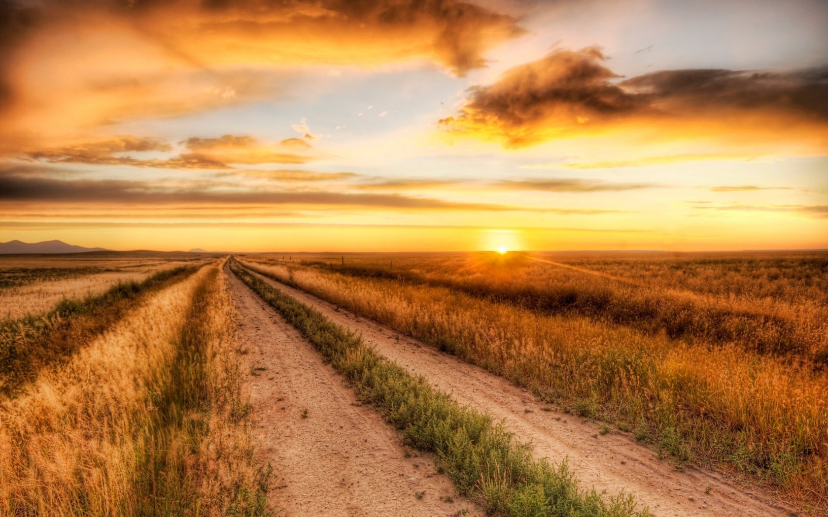 Lonely Road Nature