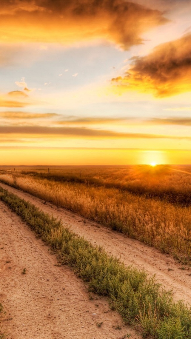 Lonely Road Nature