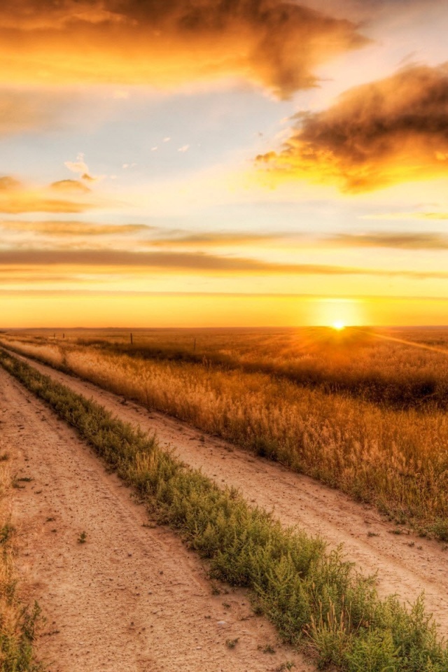 Lonely Road Nature