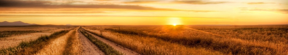 Lonely Road Nature