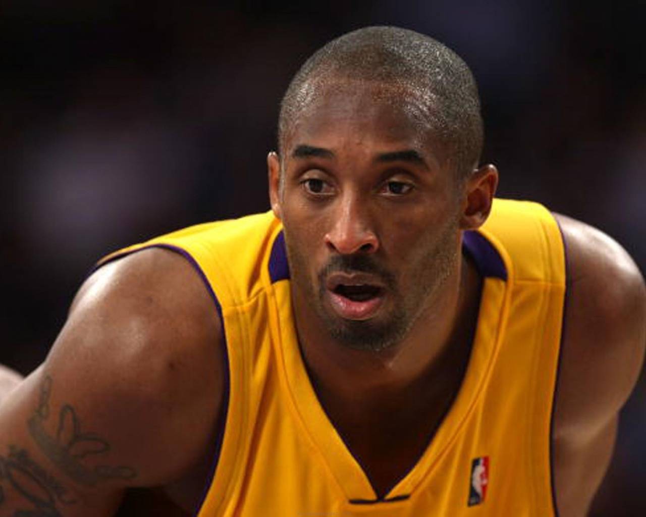 Los Angeles Lakers American Professional Basketball Kobe Bryant