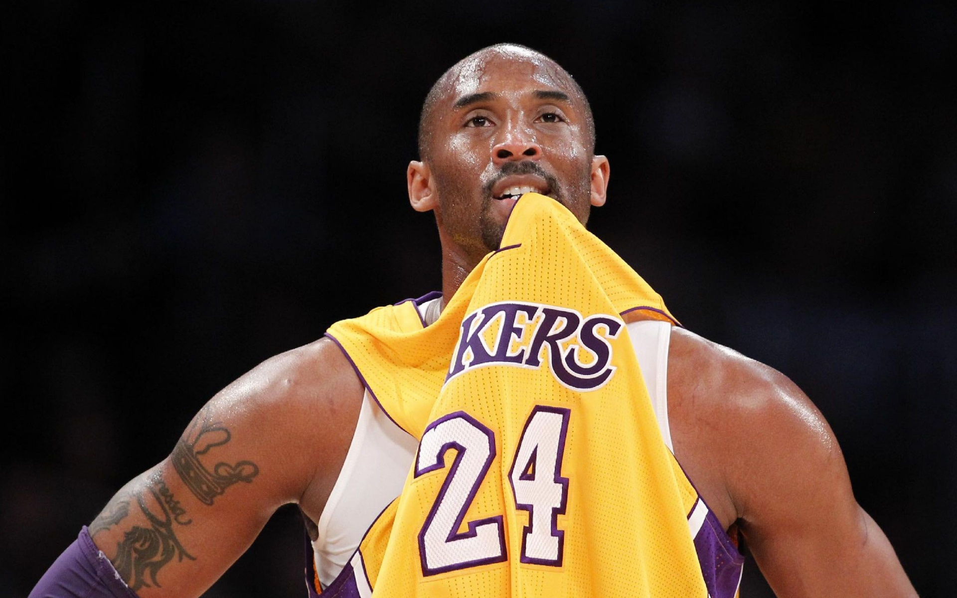 Los Angeles Lakers American Professional Basketball Kobe Bryant Black Mamba