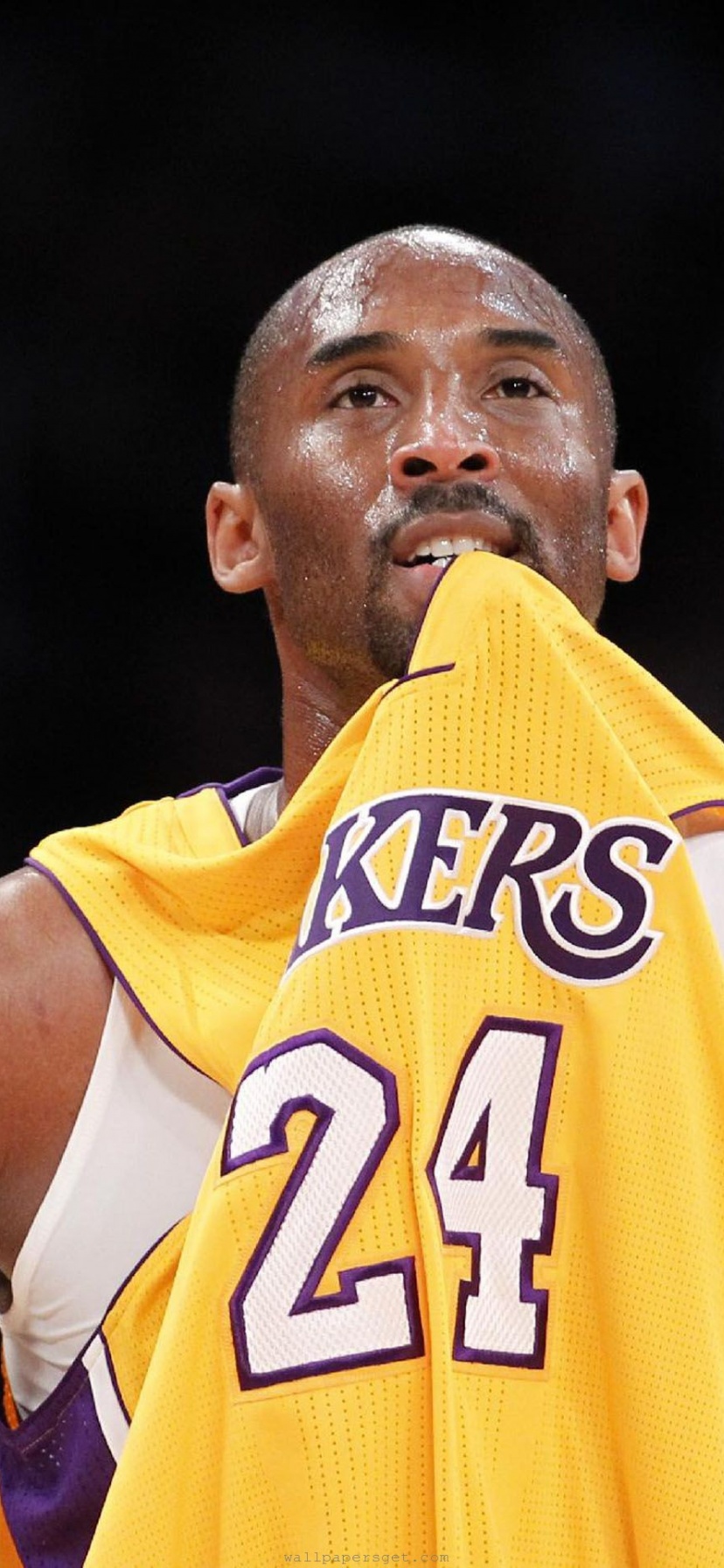 Los Angeles Lakers American Professional Basketball Kobe Bryant Black Mamba