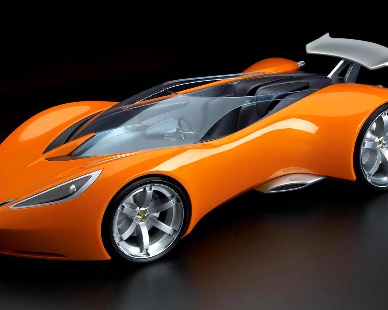 Lotus Crazy Concept